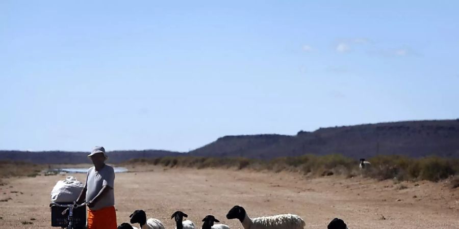 In vielen Teilen Afrikas wird die Jahresdurchschnittstemperatur bis 2070 laut Modellrechnungen auf 29 Grad Celsius steigen. (Symbolbild)