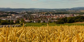 Kloten