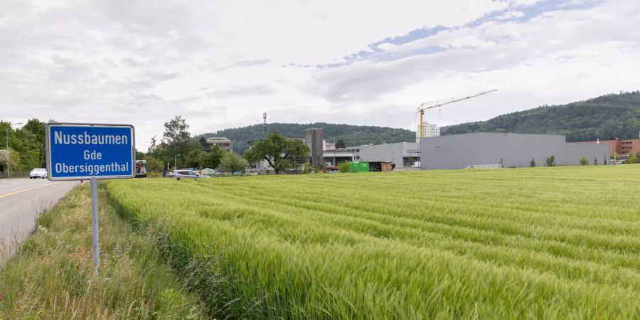 Die Landschaft bei Nussbaumen bei der Einfahrt von Kirchdorf.
