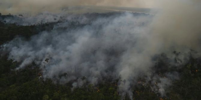 amazonas regenwald