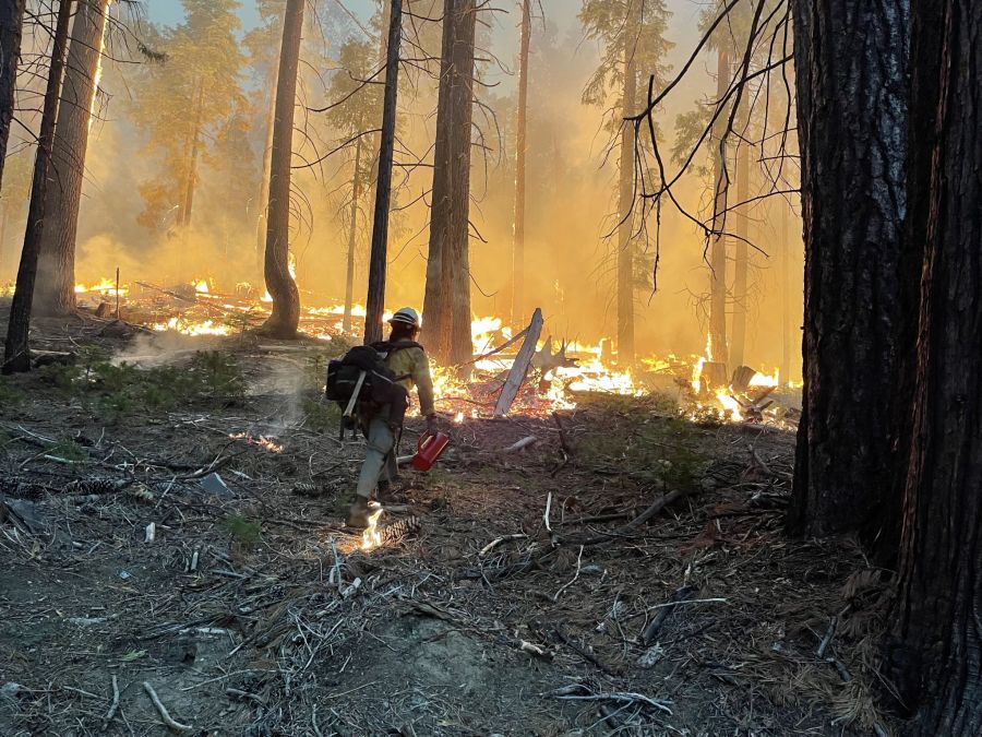 Washburn Fire at Yosemite National Park