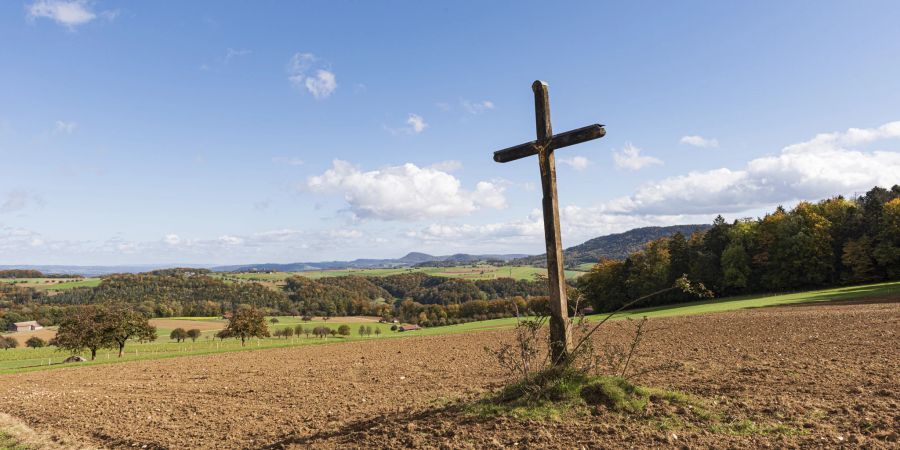 Wegkreuz an der Strasse zwischen Hemmiken und Hellikon in Hellikon.