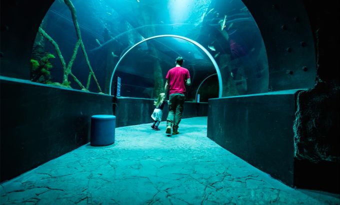 Im Aquatis Lausanne leben Tiere aus fünf Kontinenten. Aquarium im Aquatis