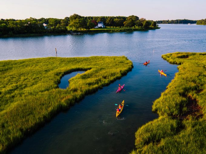 Die Gewässer in Virginia Beach lassen sich auf einer Kajaktour erkunden. Kajak Fluss Schilf Wasser