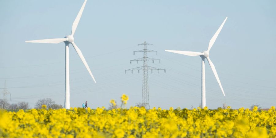 Zwei Windräder und eine Hochspannungsleitung stehen hinter einem blühenden Rapsfeld im Landkreis Hildesheim.