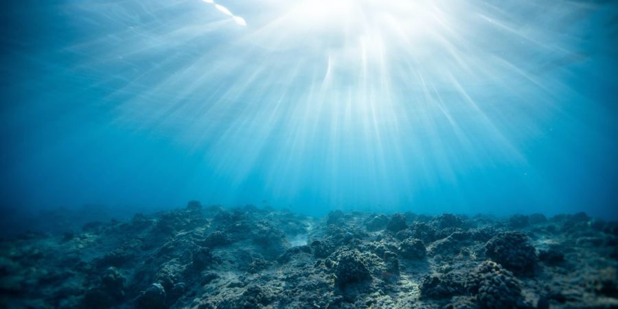 Der Ozean unter Wasser. Die Wissenschaftler entdeckten aus der Zeit vor 4,45 Milliarden Jahren Wasserspuren in der Marskruste. (Symbolbild)