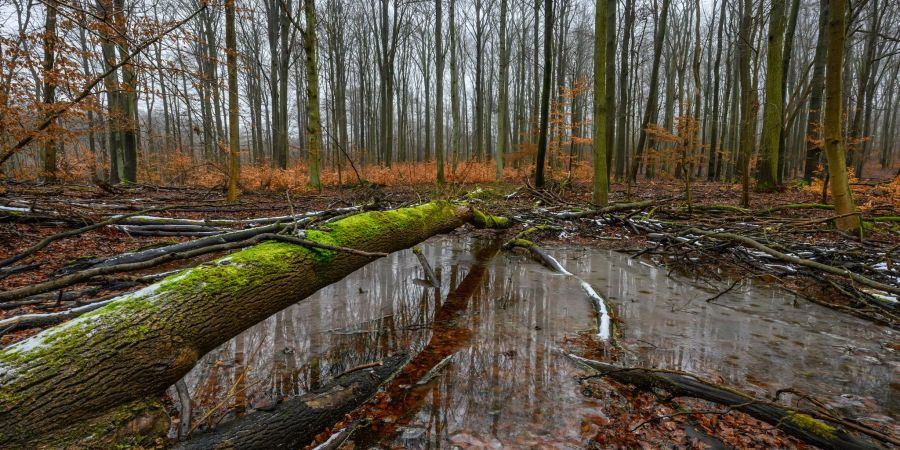 Jugendliche setzen sich für alte Apfelsorten, Biosphärenreservate und vieles mehr ein. (Achivbild)