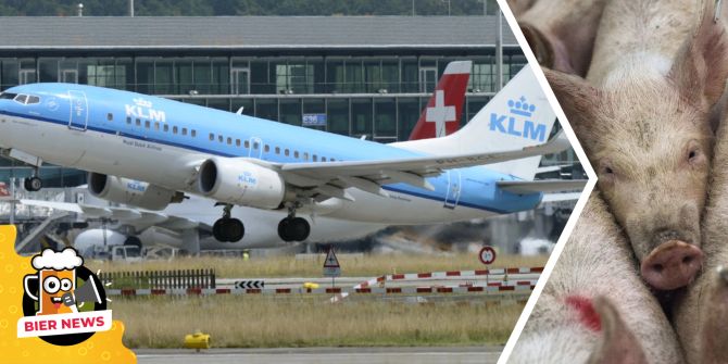 KLM-Flug