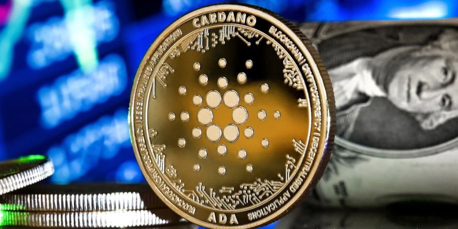 Trump nennt Cardano