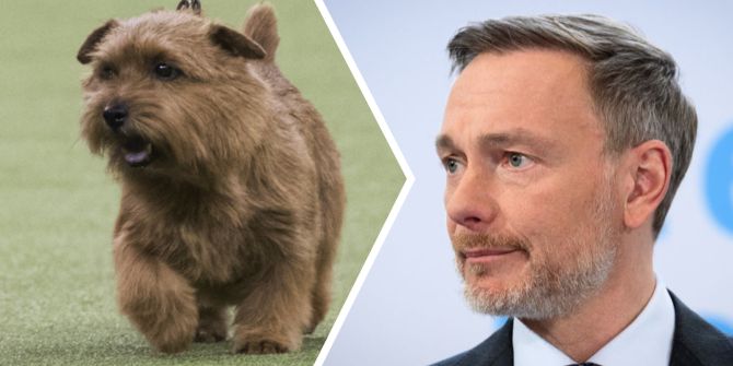 christian lindner