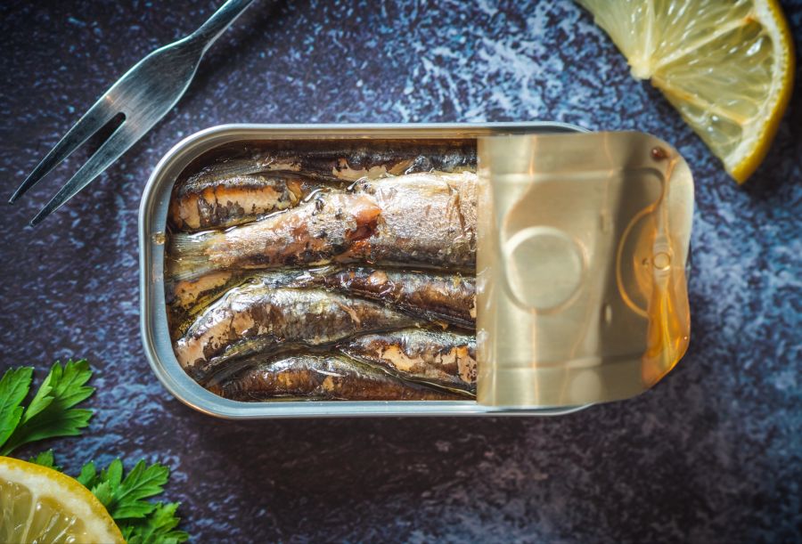 sardinen aus dose