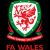 Logo Wales W