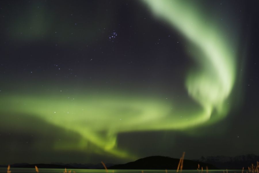 Im hohen Norden, wie hier im norwegischen Harstad, erscheinen die Polarlichter eher in der Farbe grün.
