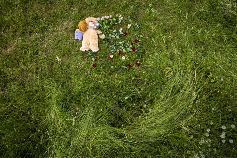 Um einen Streit zu klären, haben sie sich laut Mitschülern am Sonntag im Wald verabredet, wo es dann zum Vorfall kam.