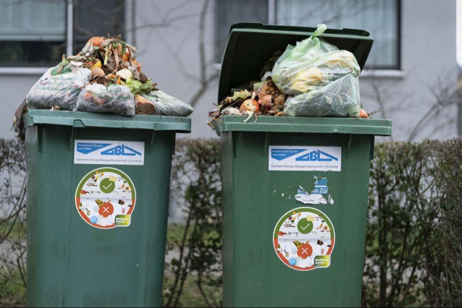 Grünabfall kommt in den Kompost.