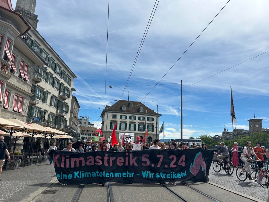 Klimastreik Schweiz Zürich