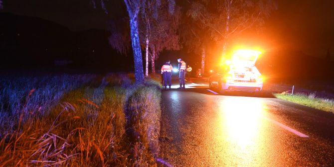 Rollerfahrer alkoholisiert verunfall.