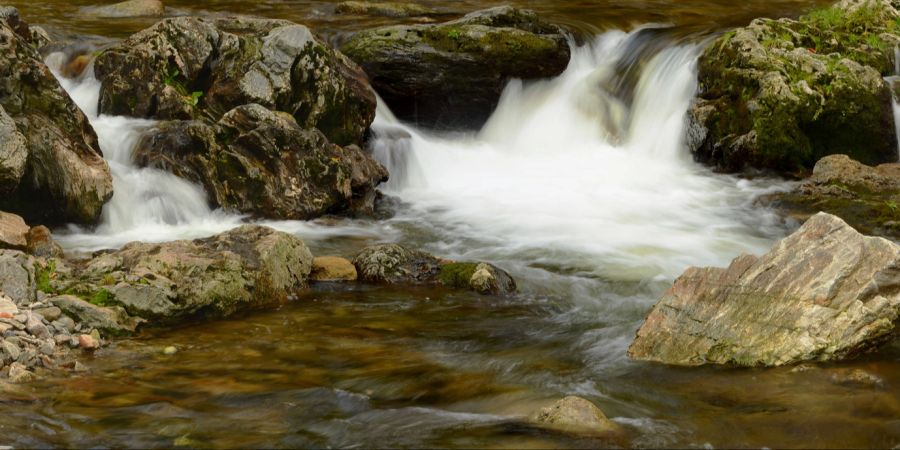 Bach Quellbach Wasser frisch