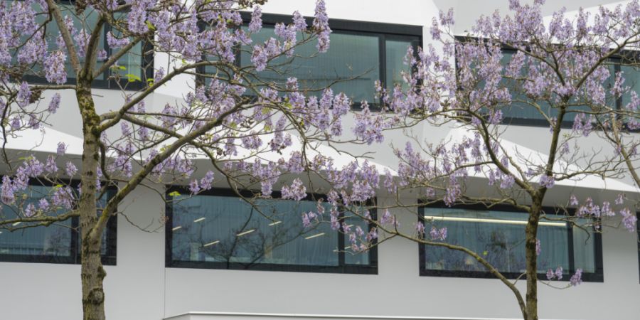 Das IWP ist ein An-Institut der Universität Luzern. (Archivaufnahme)