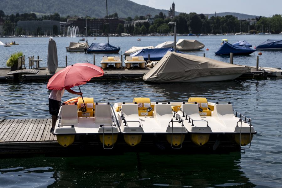 Pedalo