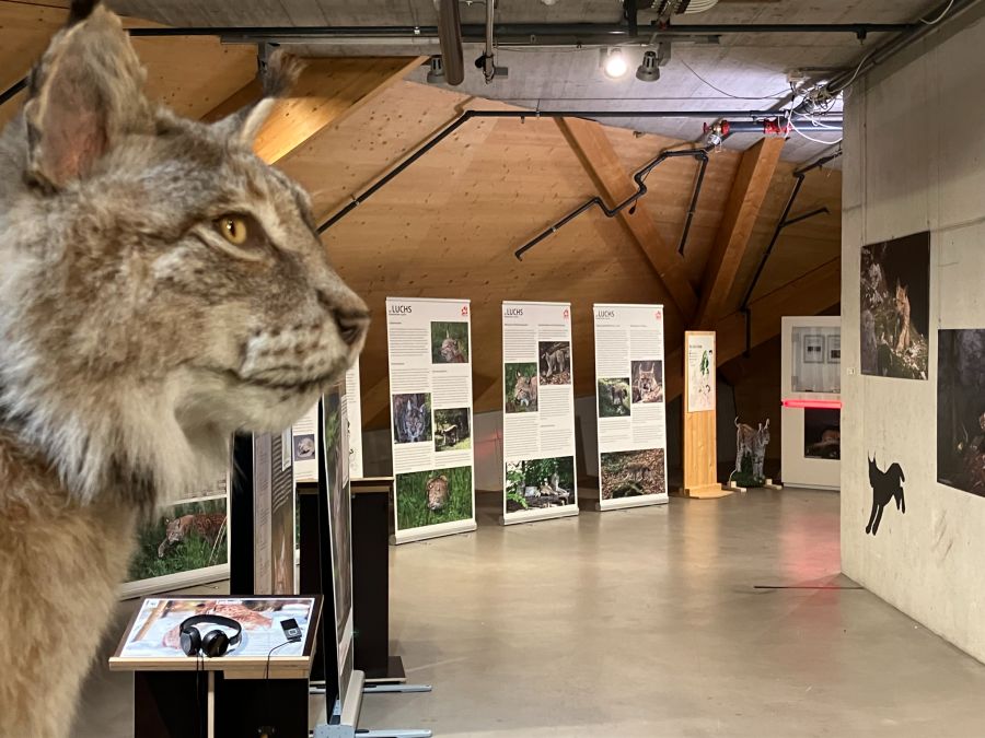 Stiftung Umwelt Arena Schweiz