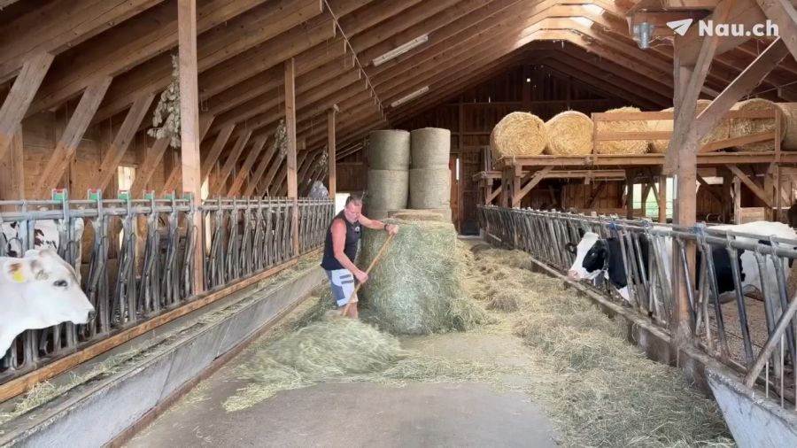 Landwirt Dani Jucker gehen langsam die Futterreserven aus.