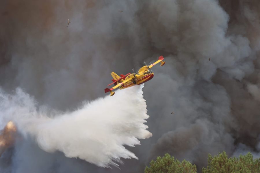 Waldbrand