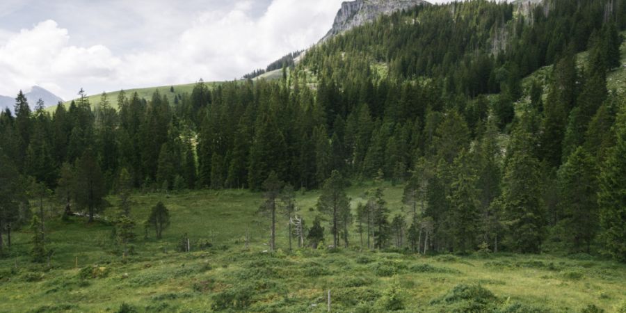 Die Moorlebensräume der Biosphäre Entlebuch sind insgesamt rund 2600 Hektaren gross. (Archivaufnahme)