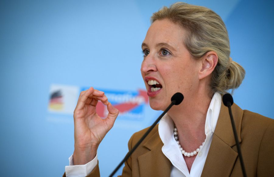 Auch bei der Migration hat die AfD laut Weibel eine klare Vorstellung: «Es fängt doch bei der Prävention an. Wir sagen ganz klar: Wir machen die Grenzen zu», sagt Weidel.