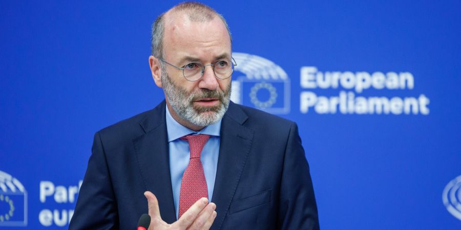 manfred weber