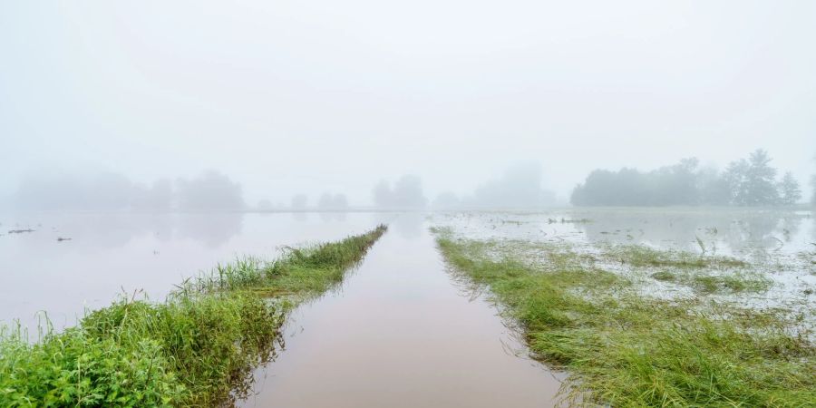 Finanzielle Einbussen durch das Hochwasser haben nicht nur Bauern, denen die Ernte ausgefallen ist, sondern auch Landwirte, die für ihre Produkte keine Abnehmer mehr finden.
