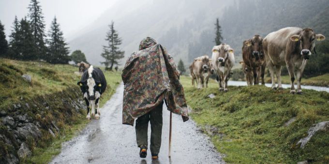 Damit auch der Tierschutz gewahrt bleibt, sind die Jäger in der Schweiz an bestimmte Auflagen gebunden. Tierschutz