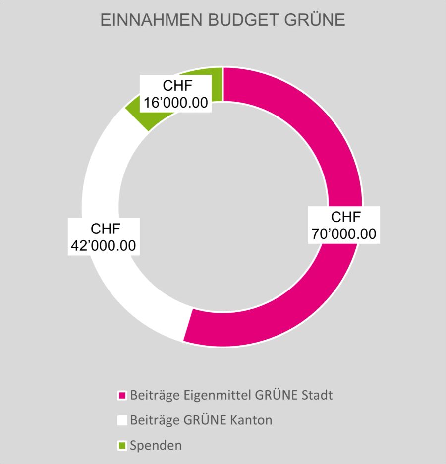 Die Einnahmen der Grünen Stadt Luzern.