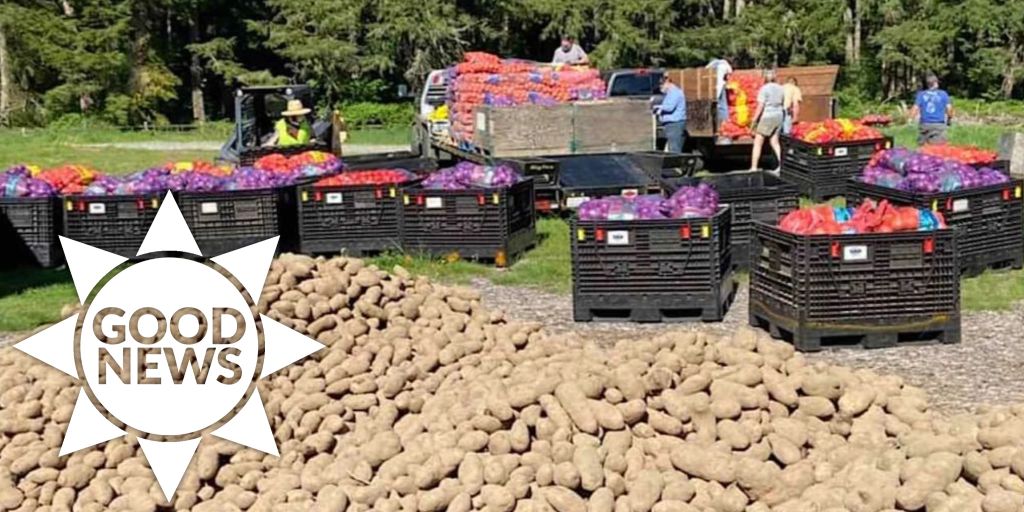 Canadian farmer supplies millions of potatoes