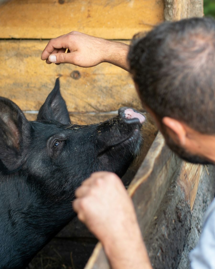 Wäre das Tier per Telefon behandelt worden, hätte sie Verständnis für die Rechnung, sagt Vereinspräsidentin Cynthia Güntensperger.