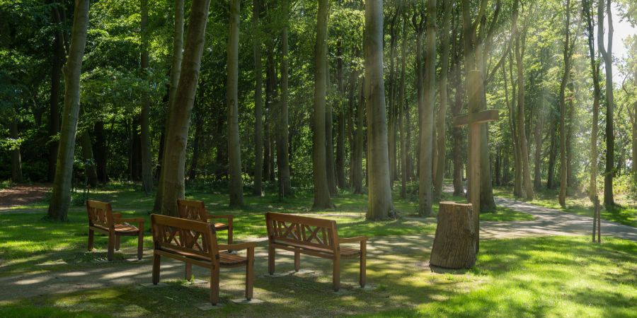 Friedhof Waldfriedhof Wald