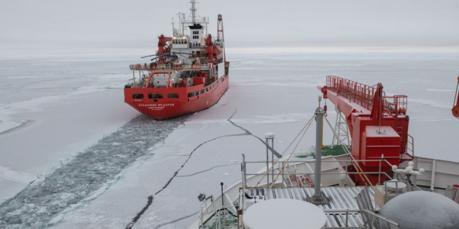 Mitarbeitende auf dem deutschen Forschungsschiff haben in der Antarktis eine bislang unbekannte Mini-Insel entdeckt. (Archivbild)