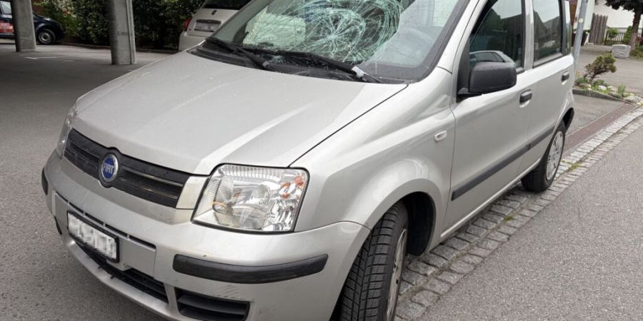 Ein 40-jähriger Fussgänger wurde mit seinem Blindenhund in Widnau SG von einem Auto erfasst.