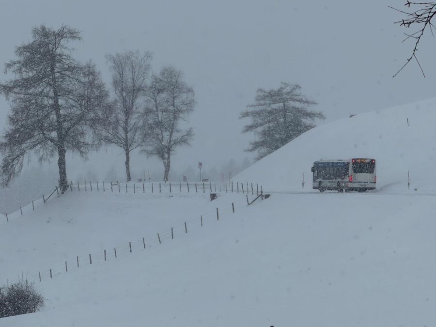 Nau.ch-Bilder vom Ratenpass in Zug zeigen die verschneite Landschaft.