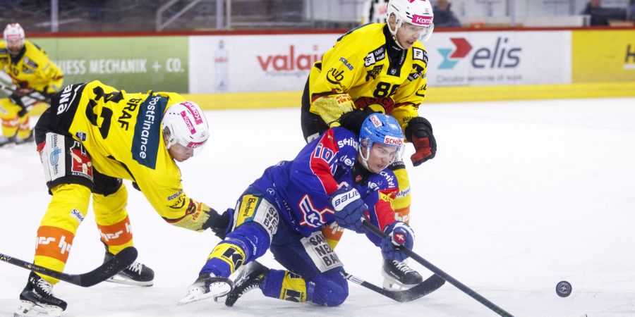 SC Bern