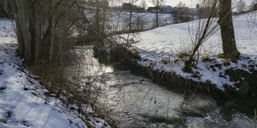 Im Fluss Wyna im Kanton Luzern wurden in den letzten Monaten sehr hohe Pestizidrückstande mit dem hochgiftigen Wirkstoff Deltamethrin festgestellt.
