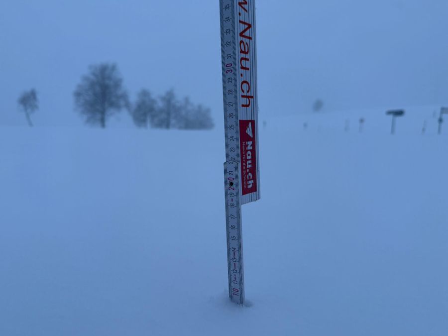 Auf den Ratenpass ZG konnten fast zehn Zentimeter Schnee gemessen werden.