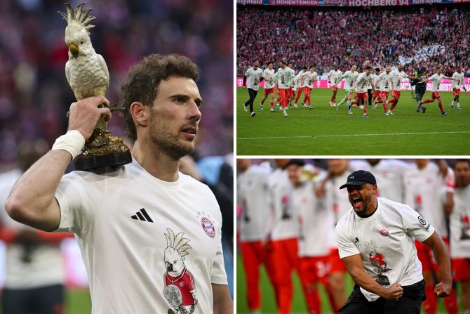 Bayern München Meister Kakadu