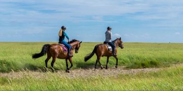 Reiten, Pferde, Natur