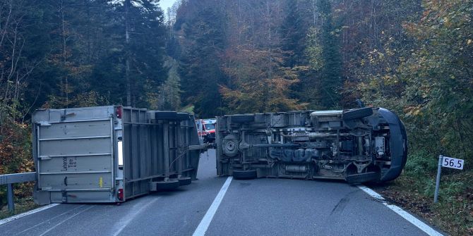 Viehtransporter verunfallt