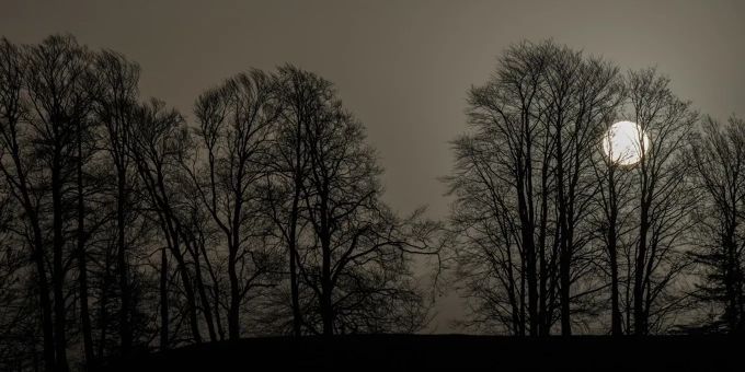 Laut Meteoschweiz befinden sich immer noch Rauchpartikel von den Waldbränden aus Kanada in der Luft. (Archivbild) Saharastaub Wetter