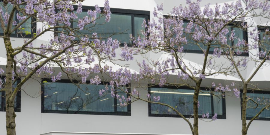 Die geplante Forschung zum Nationalen Finanzausgleich soll am der Universität Luzern angegliederten Institut für Schweizer Wirtschaftspolitik (IWP) stattfinden. (Archivaufnahme)