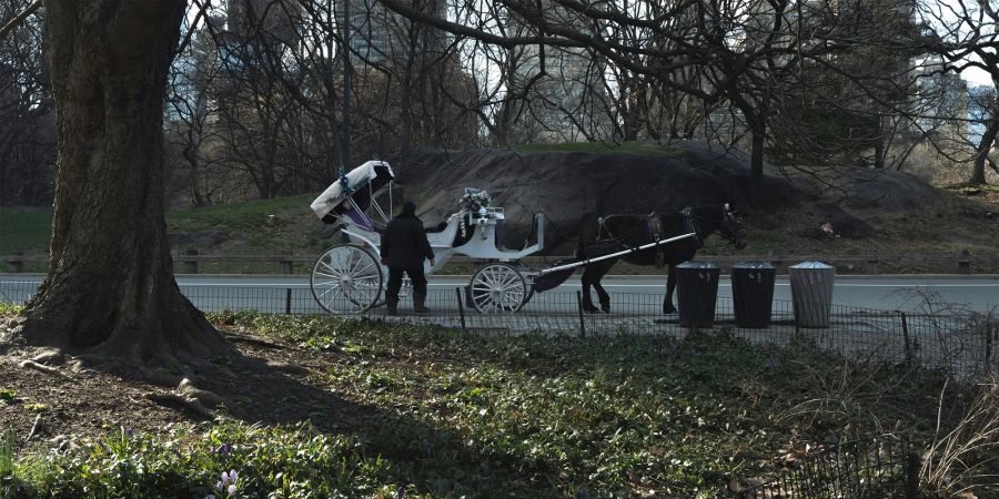 Central Park
