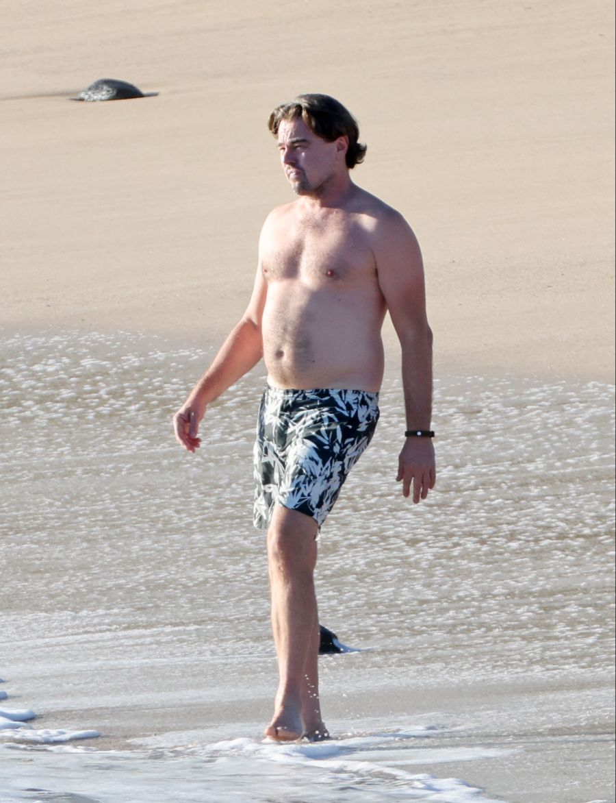 Leonardo DiCaprio