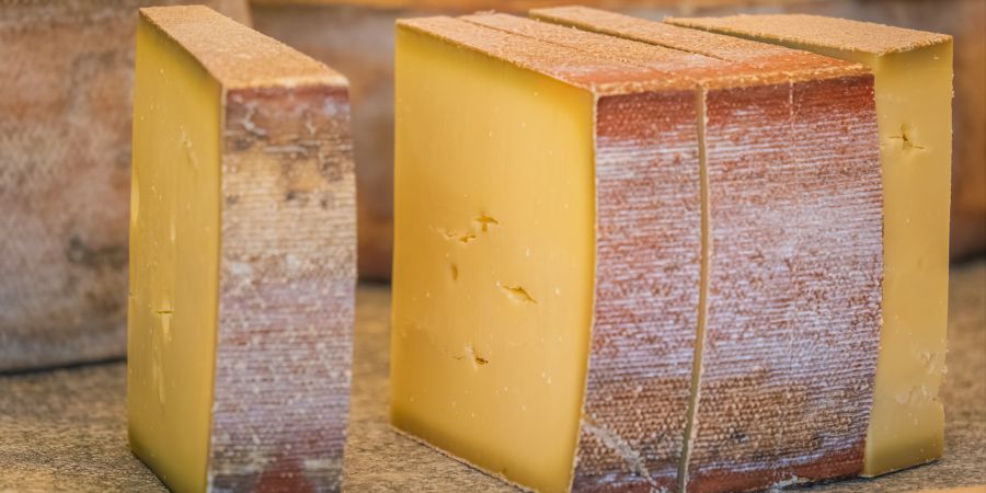 Käse Schweiz Cheese
